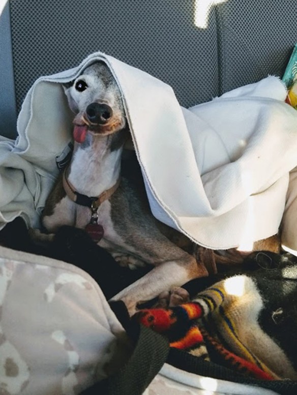 IMG_20170817_193408215