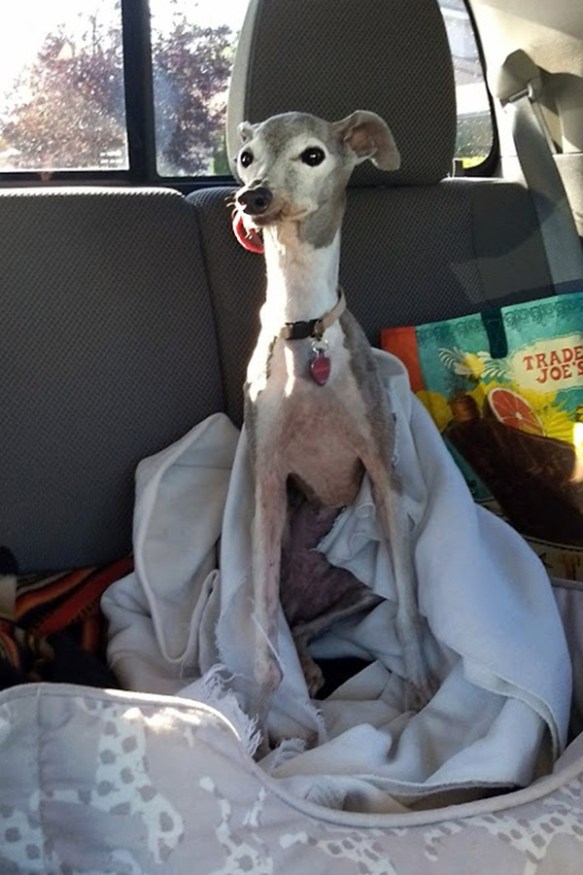 IMG_20170818_180129927_BURST000_COVER_TOP