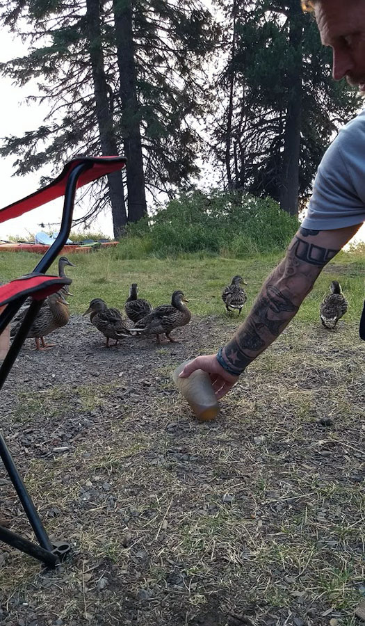 IMG_20170824_180213221