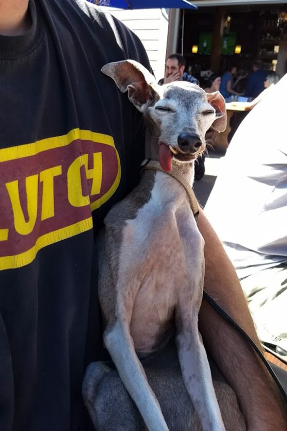 IMG_20170825_161836401