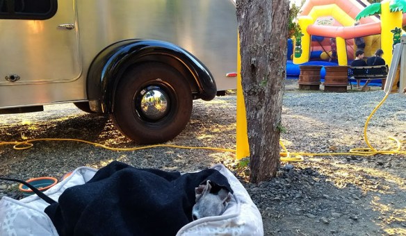 IMG_20170825_194210012