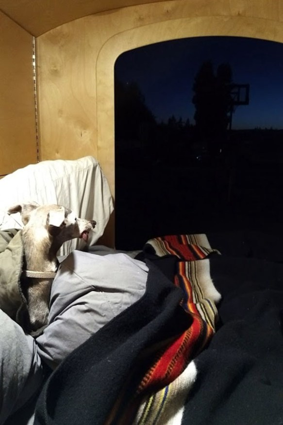 IMG_20170825_205905351