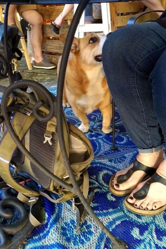 IMG_20170826_174312710