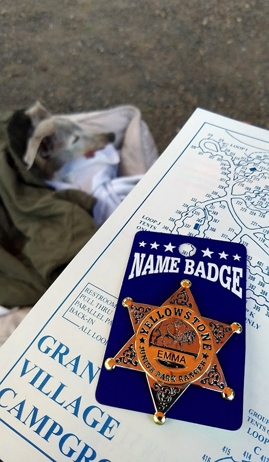 IMG_20170829_180114658