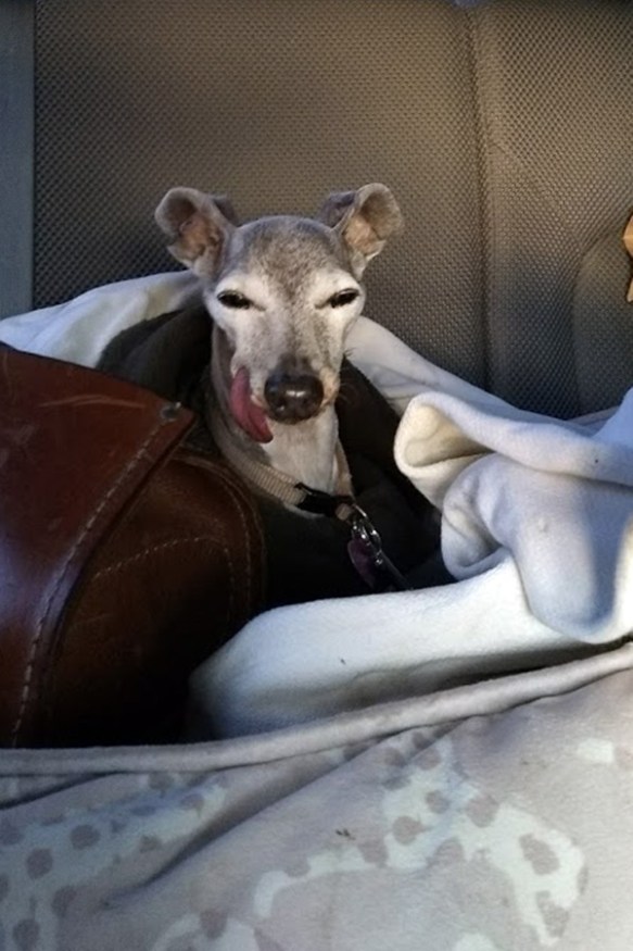 IMG_20170831_070307176