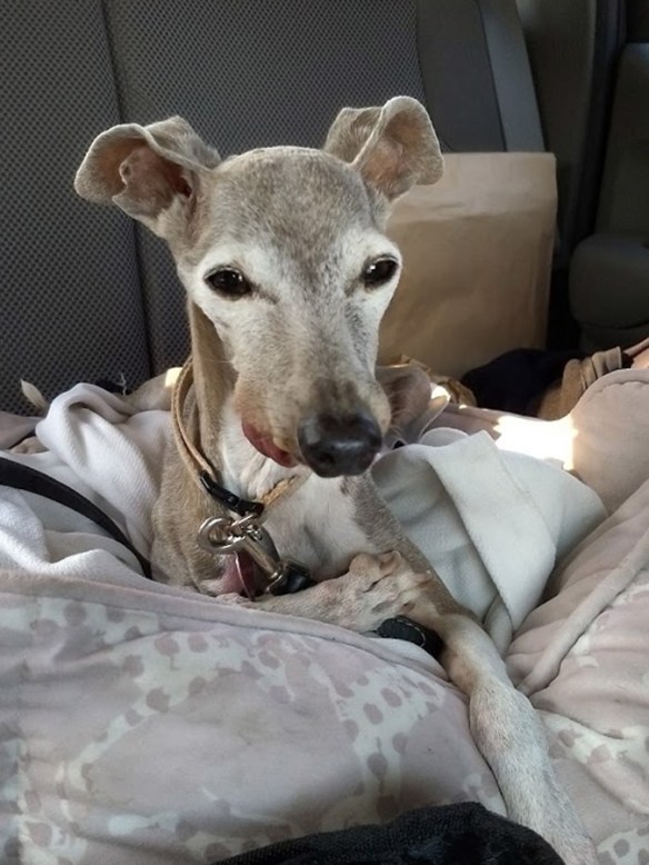 IMG_20170901_161856941